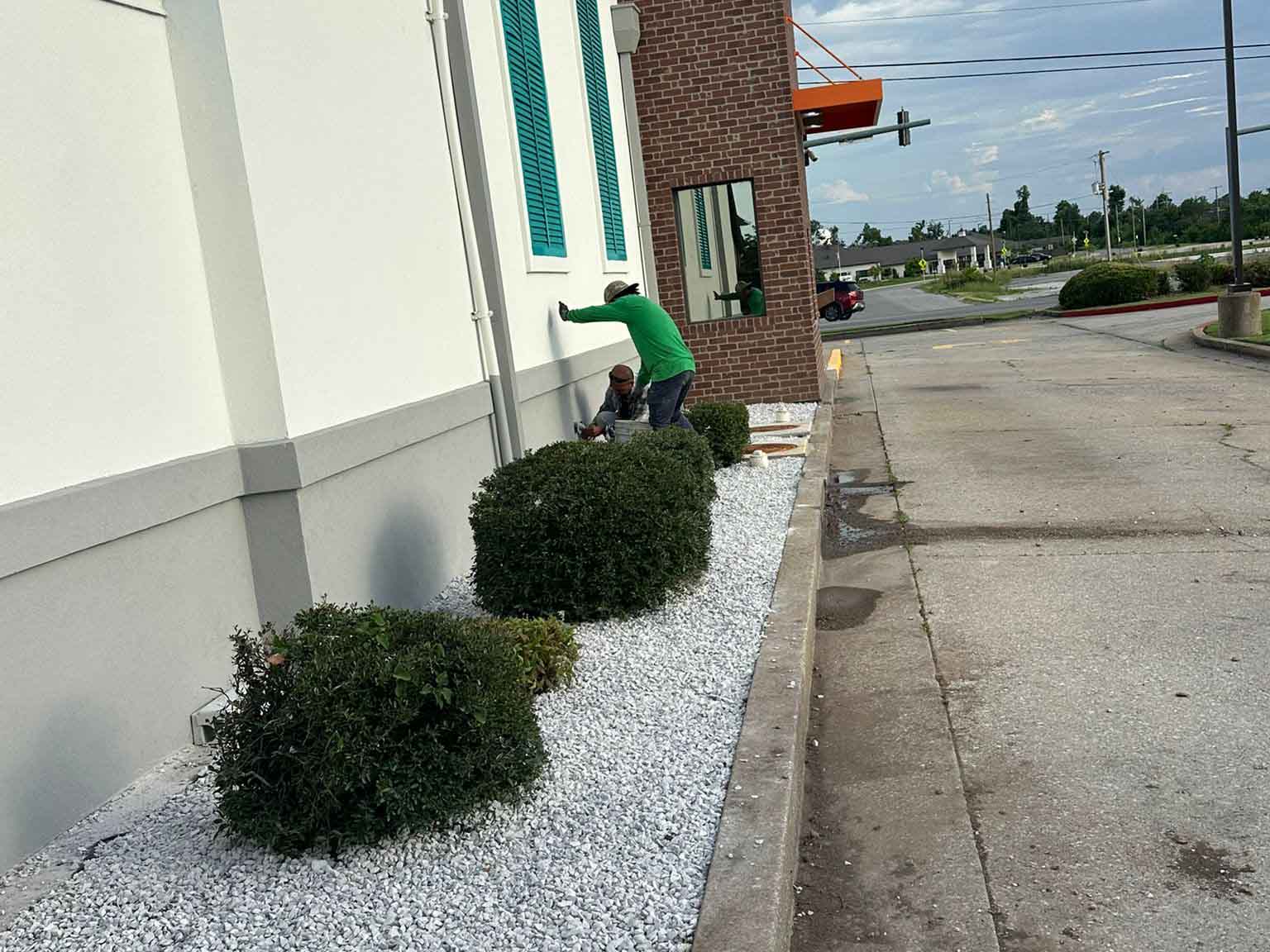 Luchos Tree Services