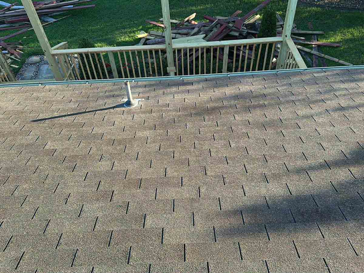 Luchos Tree Services
