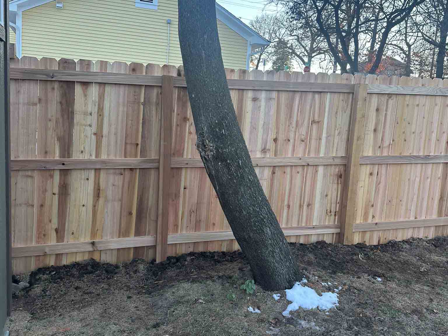 Luchos Tree Services