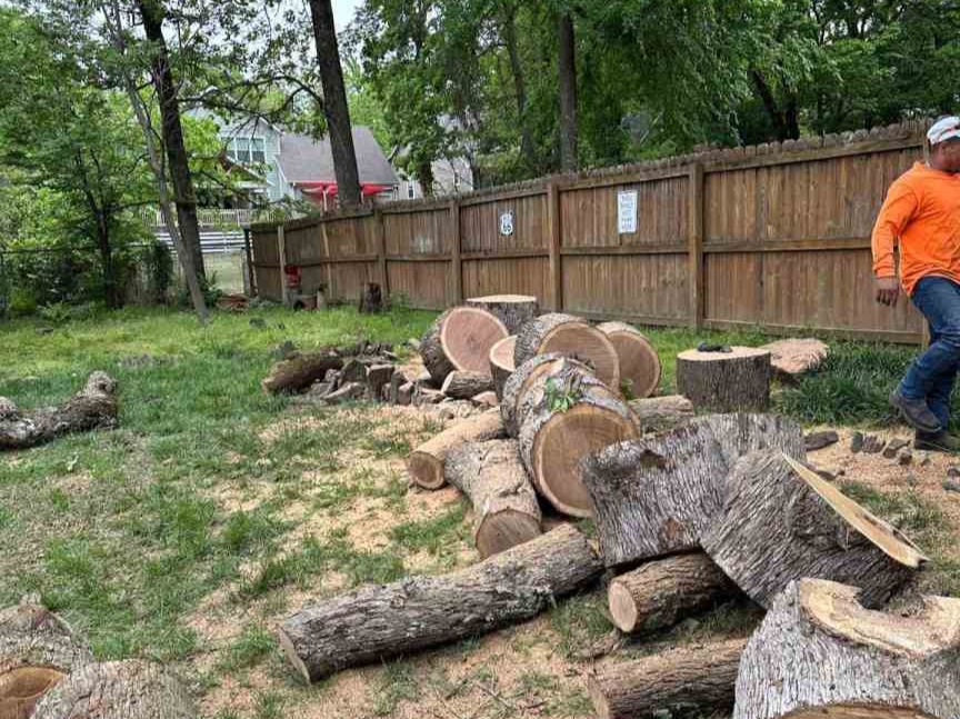 Luchos Tree Services
