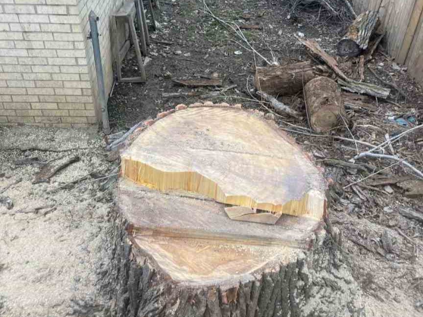 Luchos Tree Services