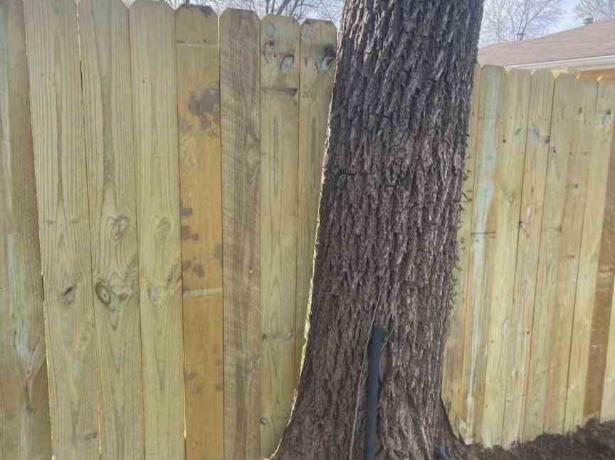 Luchos Tree Services