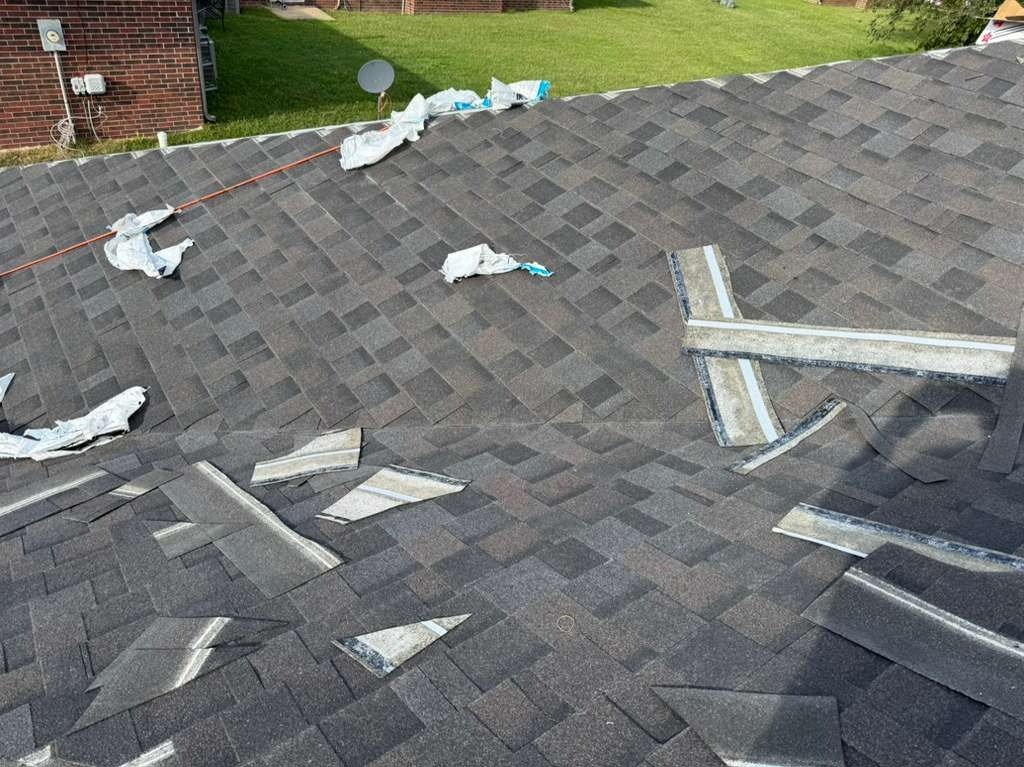 Luchos Tree Services