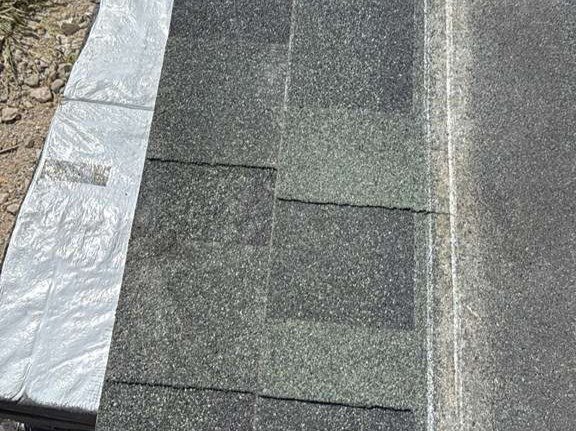 Luchos Tree Services