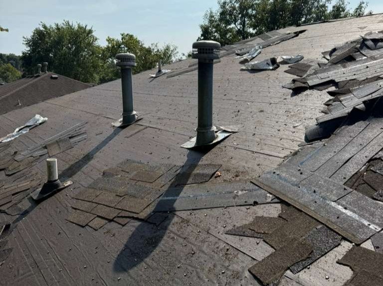 Luchos Tree Services