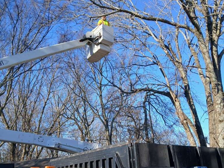 Luchos Tree Services