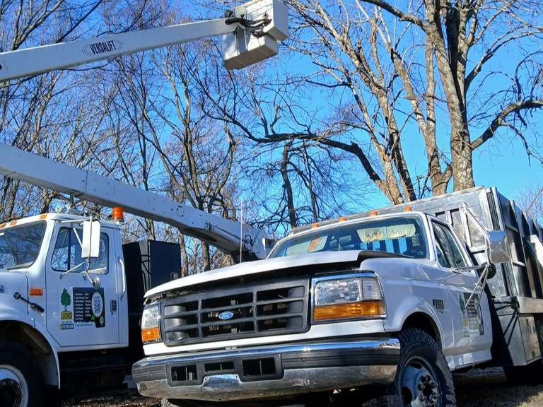 Luchos Tree Services