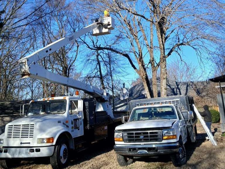 Luchos Tree Services