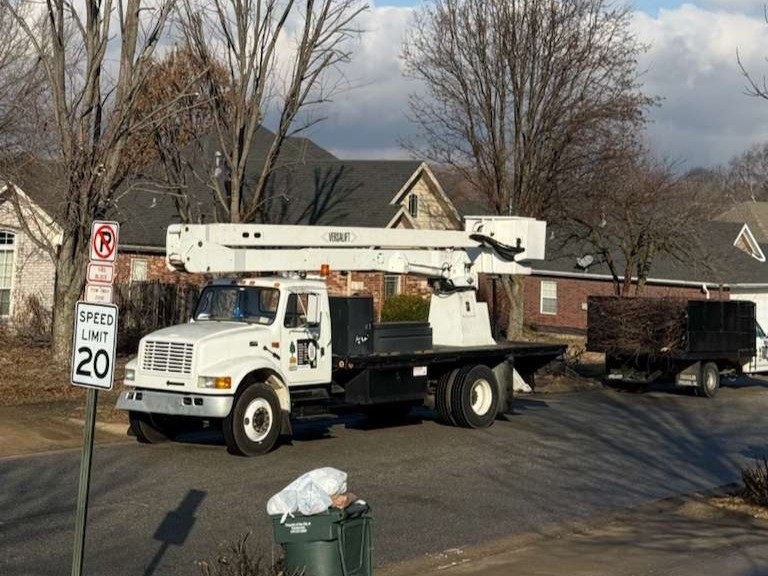 Luchos Tree Services