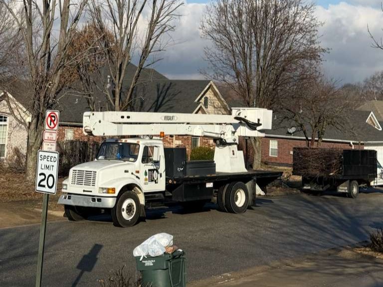 Luchos Tree Services