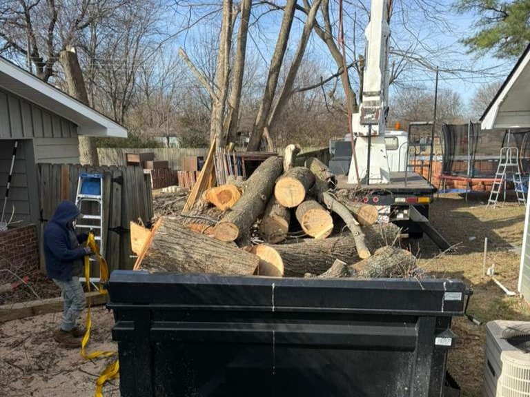 Luchos Tree Services