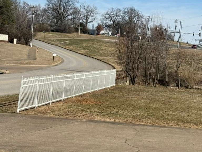 Luchos Tree Services