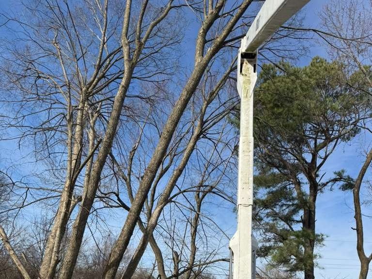 Luchos Tree Services