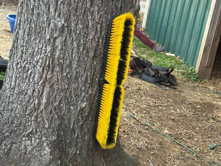 Luchos Tree Services