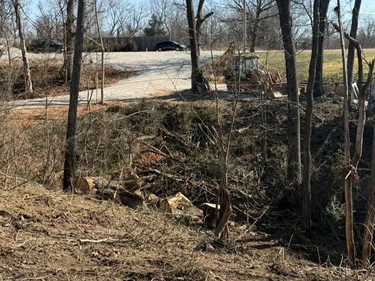 Luchos Tree Services