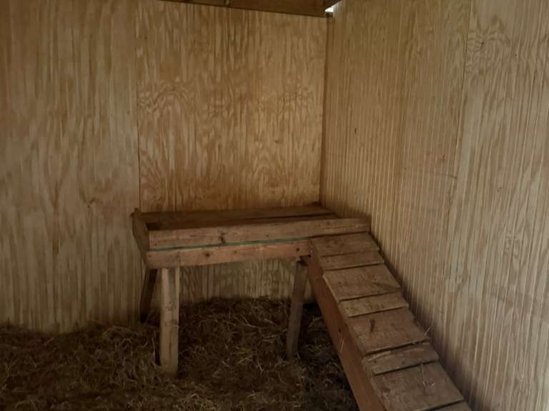 Luchos Tree Services