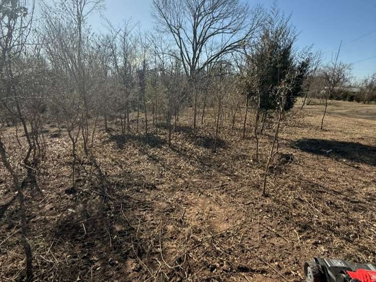 Luchos Tree Services