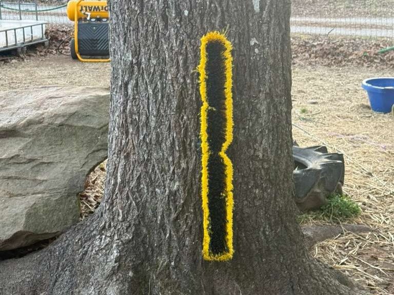 Luchos Tree Services