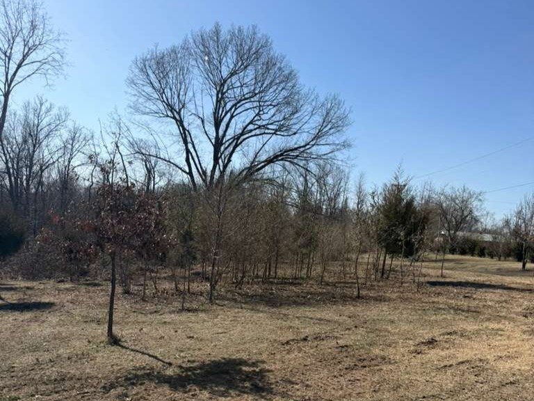 Luchos Tree Services