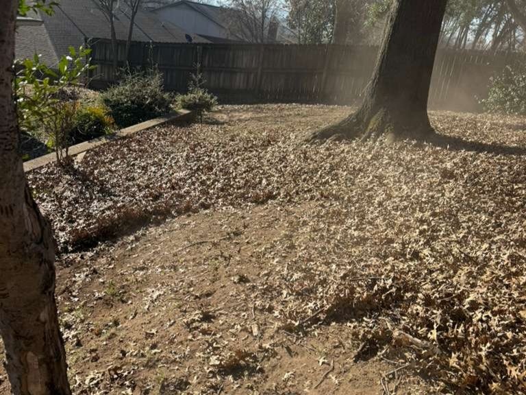 Luchos Tree Services