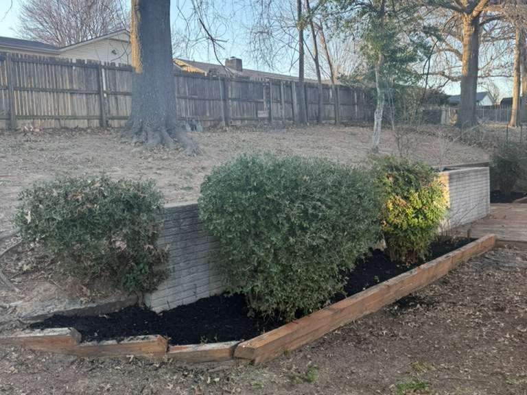 Luchos Tree Services