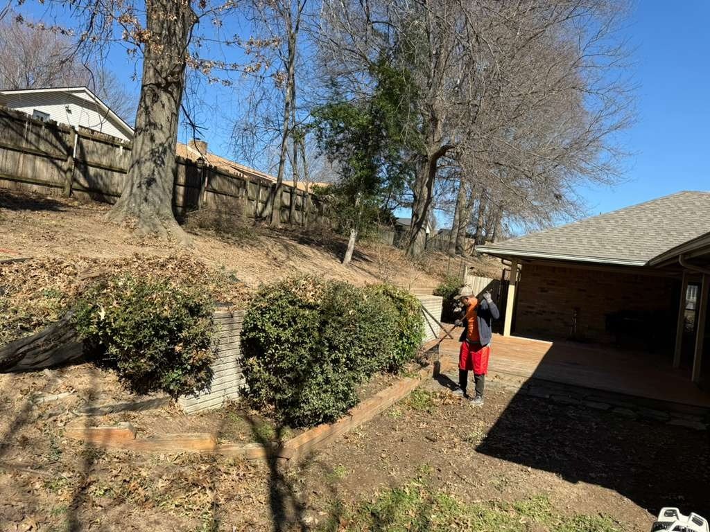 Luchos Tree Services