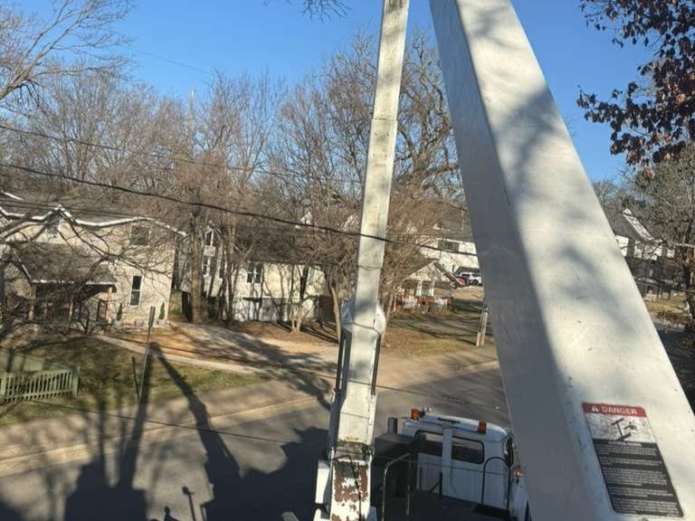 Luchos Tree Services