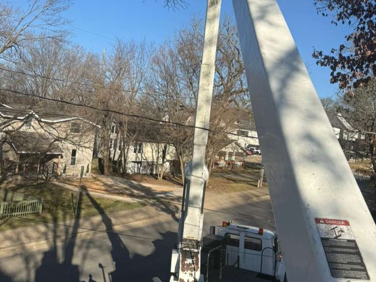 Luchos Tree Services
