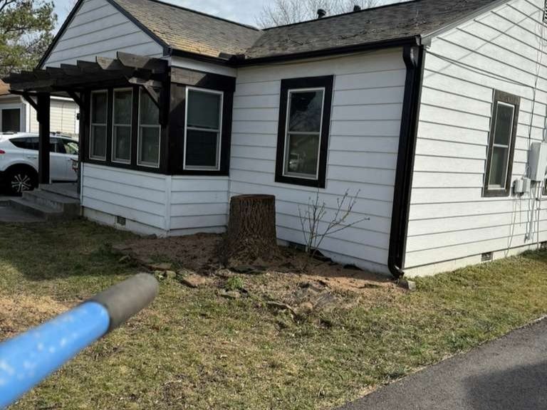 Luchos Tree Services