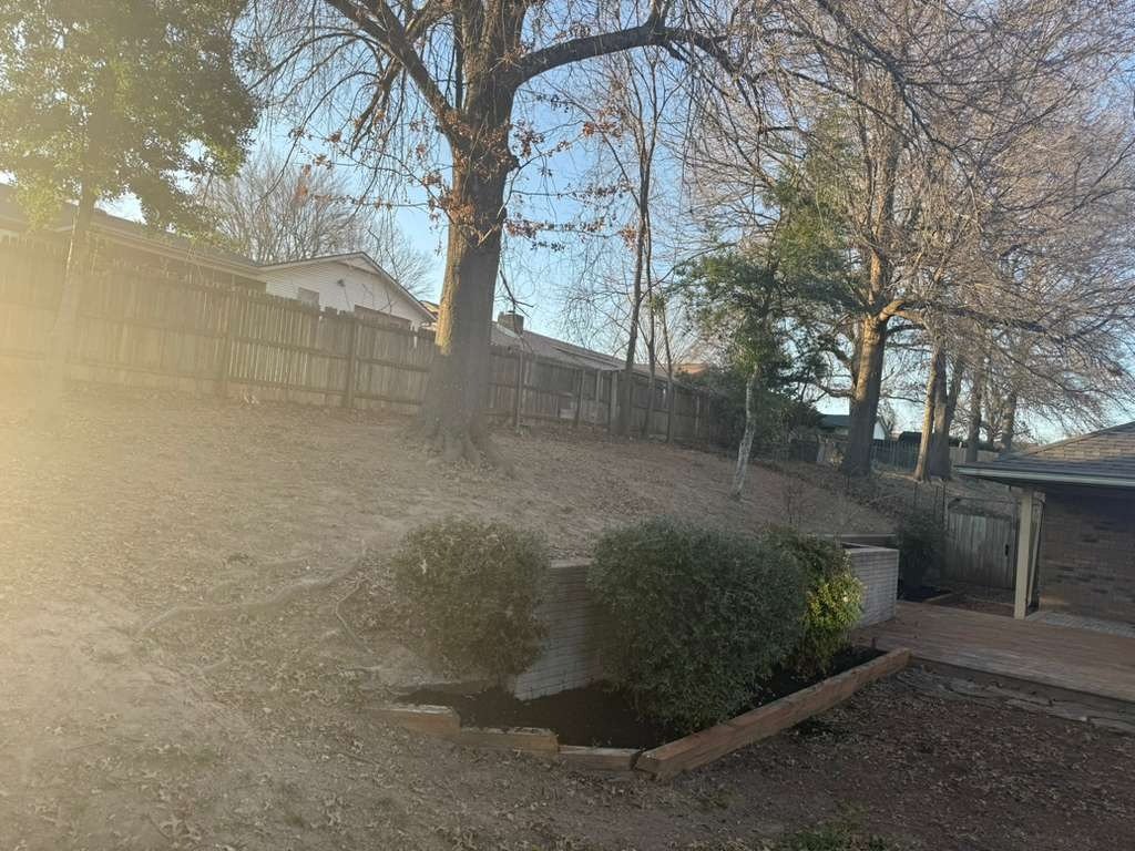 Luchos Tree Services