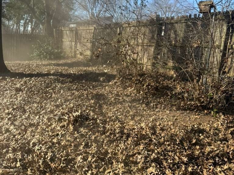 Luchos Tree Services