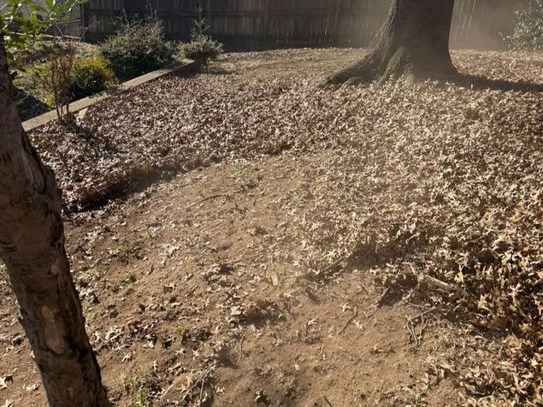 Luchos Tree Services