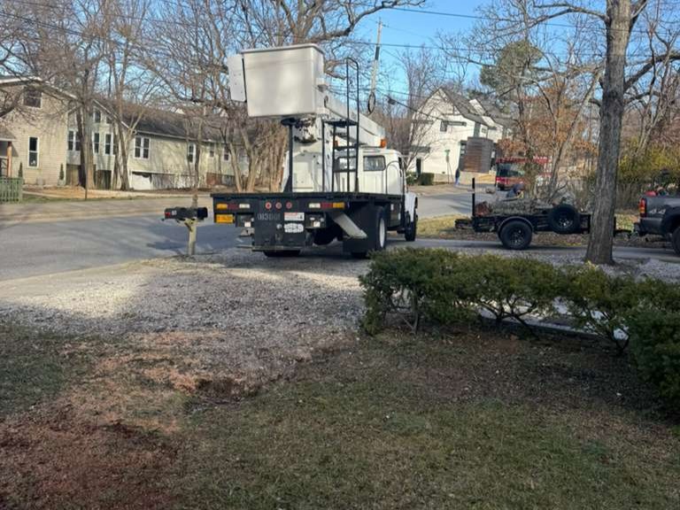 Luchos Tree Services