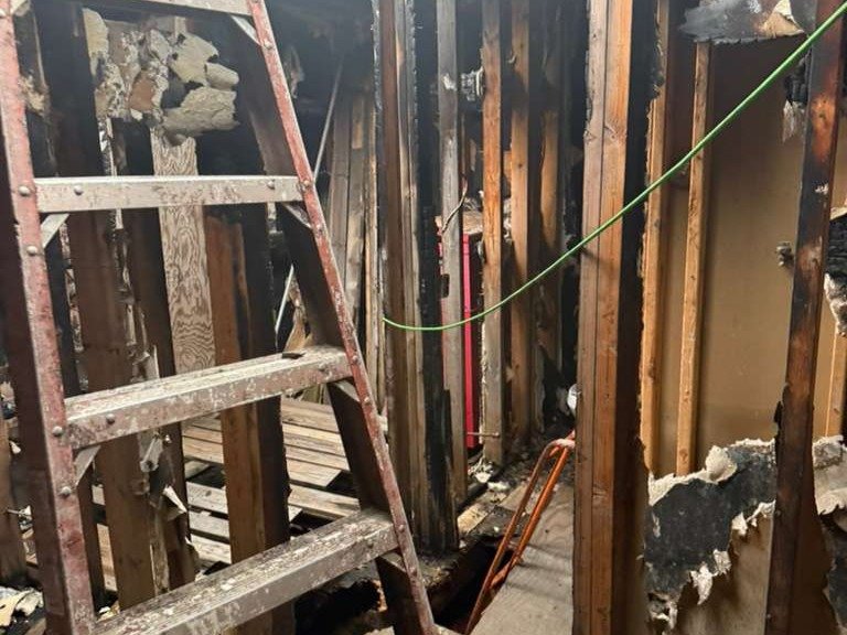 Luchos Tree Services