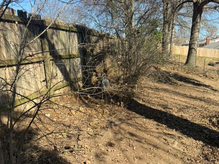 Luchos Tree Services