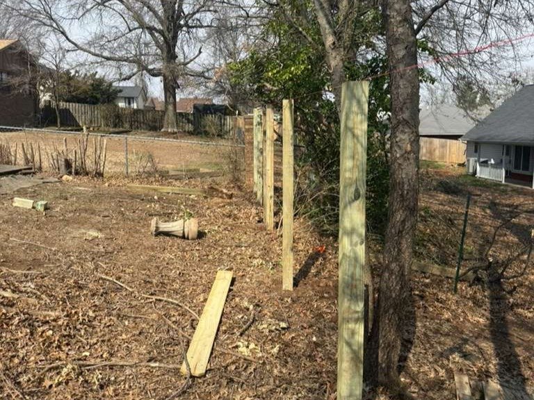 Luchos Tree Services