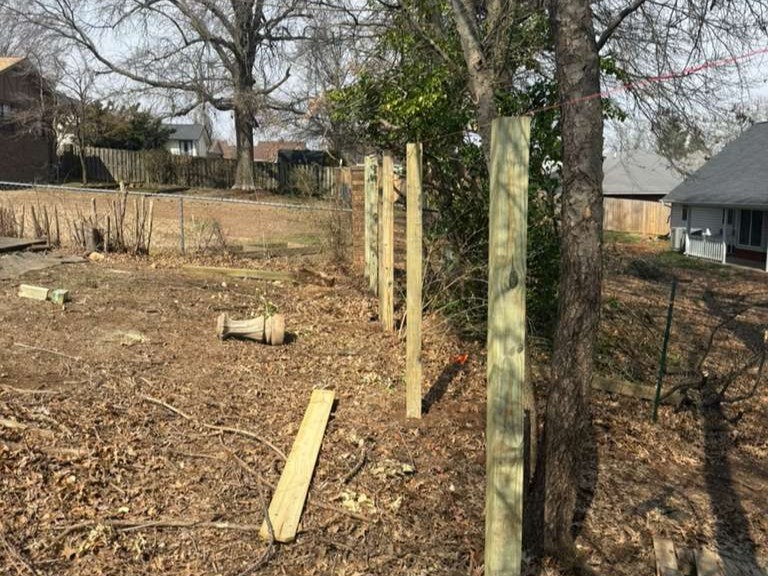 Luchos Tree Services