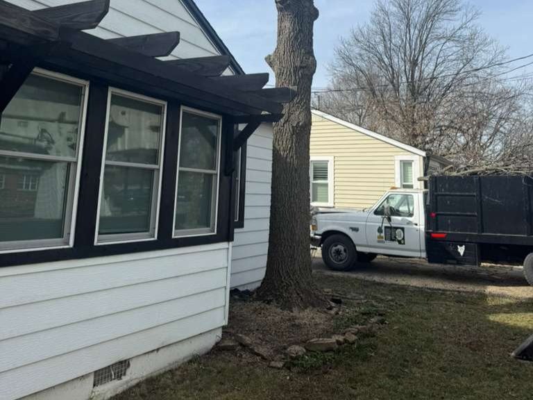 Luchos Tree Services