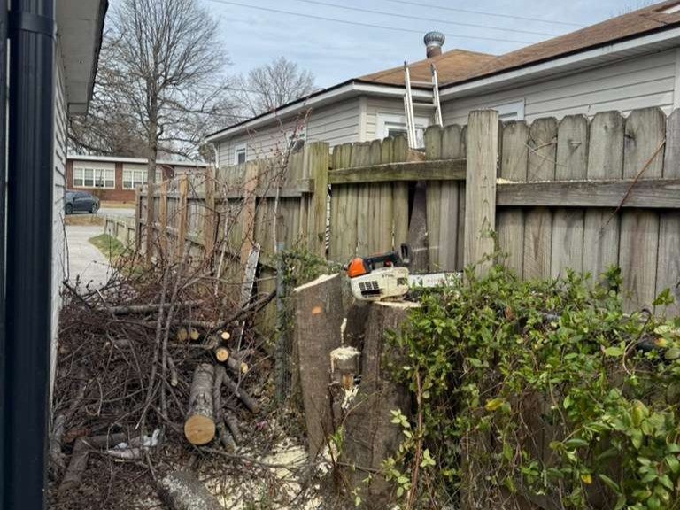 Luchos Tree Services