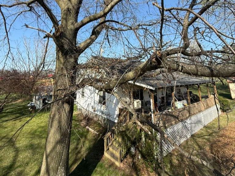 Luchos Tree Services