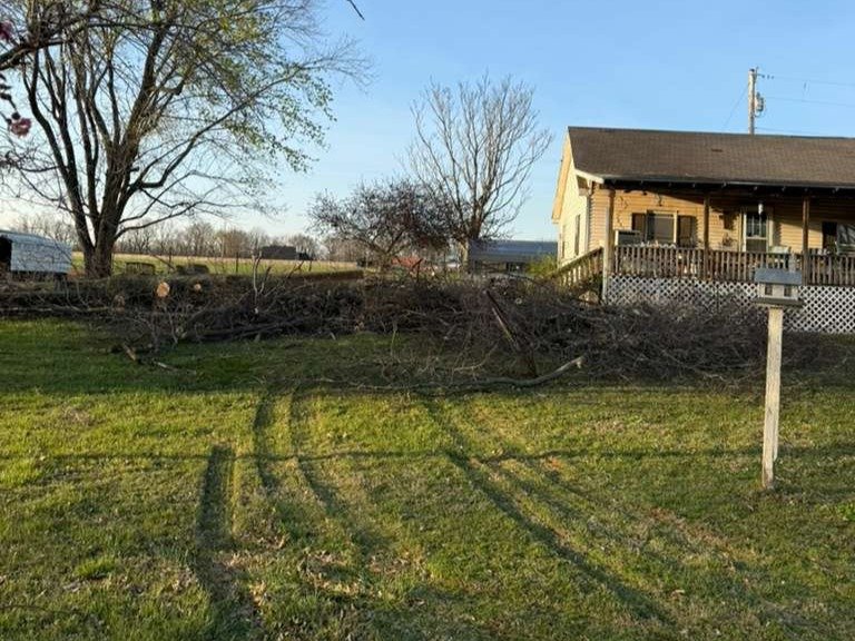 Luchos Tree Services