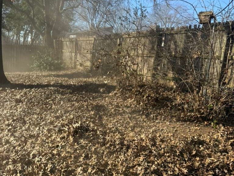 Luchos Tree Services