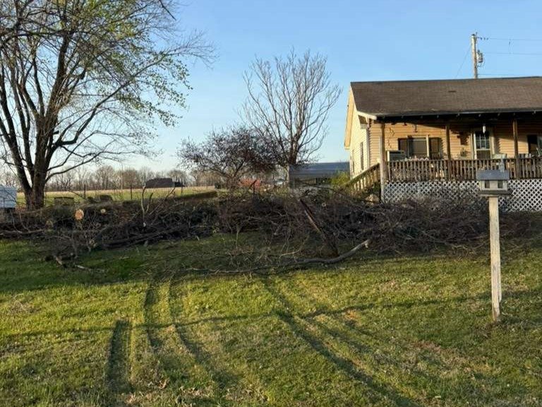 Luchos Tree Services