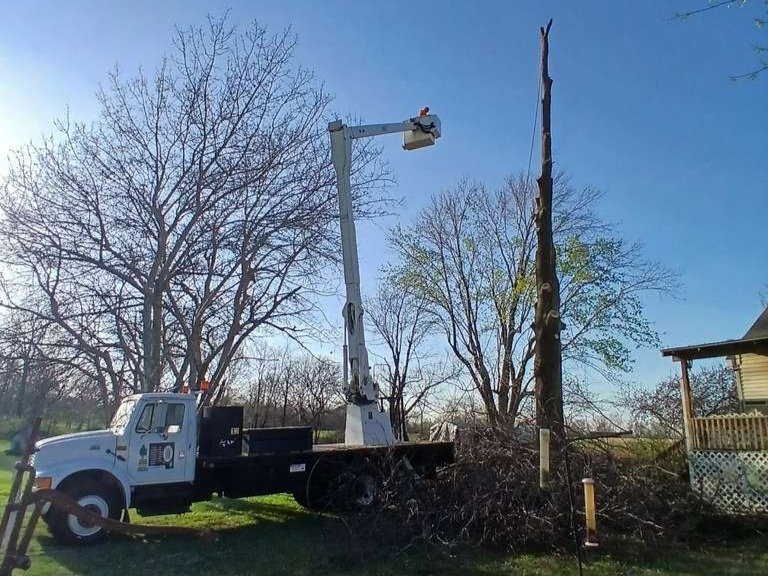 Luchos Tree Services