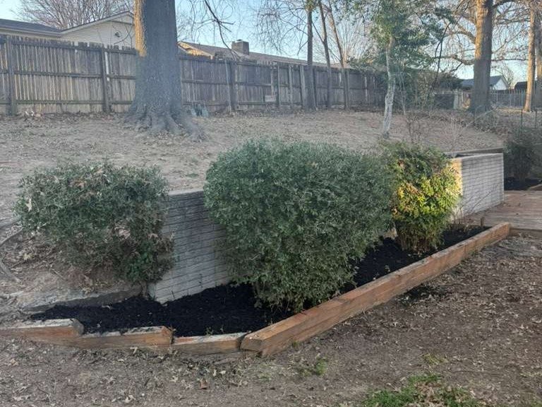 Luchos Tree Services