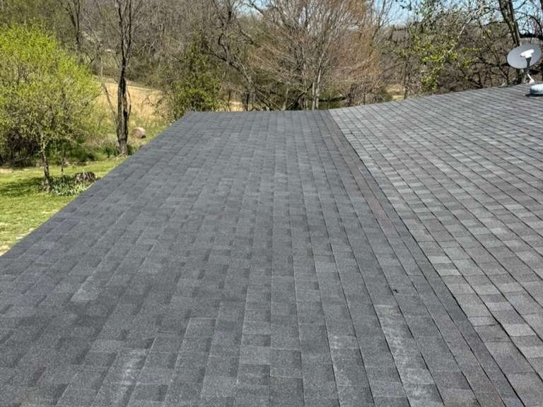 Luchos Tree Services