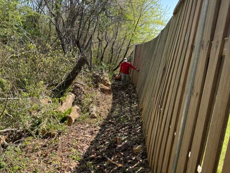 Luchos Tree Services