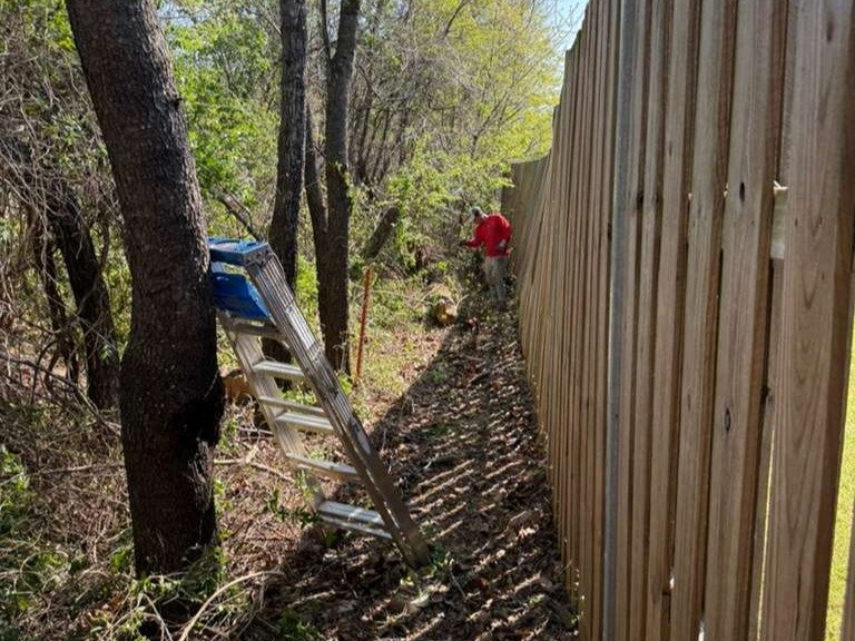 Luchos Tree Services