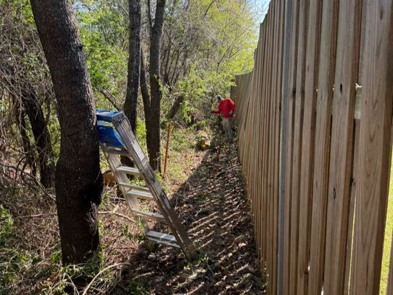 Luchos Tree Services
