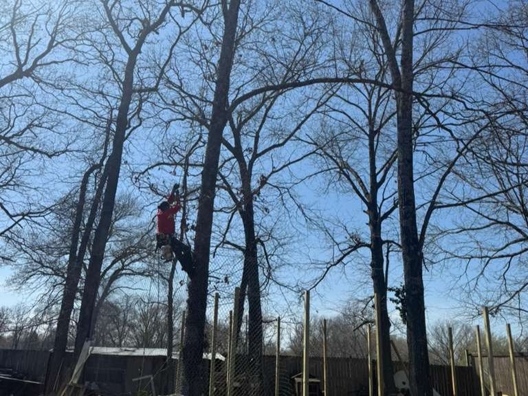 Luchos Tree Services